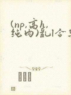 (np,高h,纯肉)乱l合集