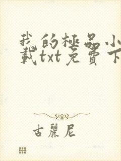 我的极品小姨下载txt免费下载