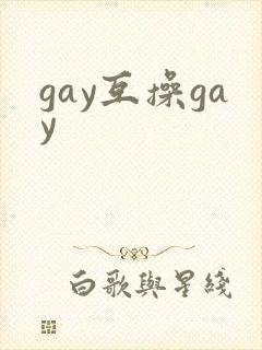 gay互操gay