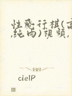 性飞行棋(高h,纯肉)视频,封面