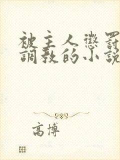 被主人惩罚玩弄调教的小说