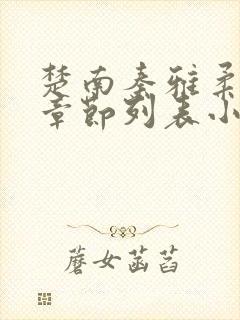 楚南秦雅柔最新章节列表小说