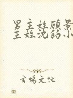 男主姓顾景琛女主姓沈的小说