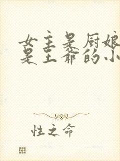 女主是厨娘男主是王爷的小说