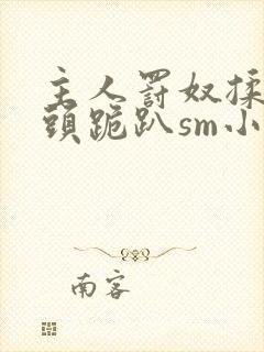 主人罚奴揉捏奶头跪趴sm小说封面