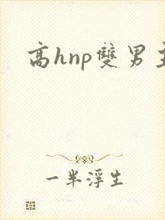 高hnp双男主