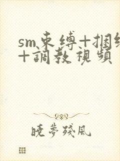 sm束缚+捆绑+调教视频封面