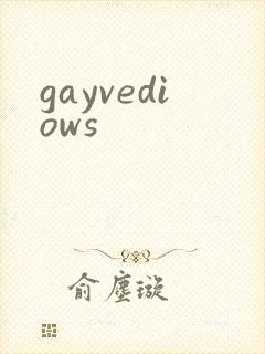gayvediows封面