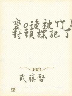 变o后被竹马死对头标记了笔趣阁