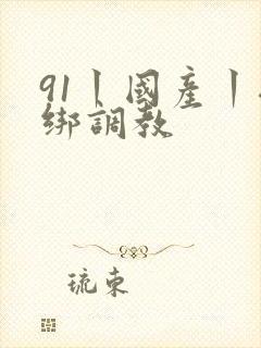 91丨国产丨捆绑调教