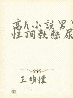 高h小说男男双性调教憋尿