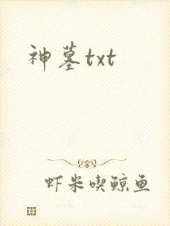 神墓txt