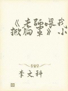 《老师喂我乳我掀胸罩》小说封面