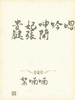 贵妃呻吟嗯啊双腿张开封面