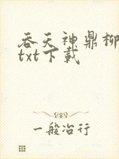 吞天神鼎柳无邪txt下载封面