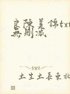 良陈美锦txt无删减