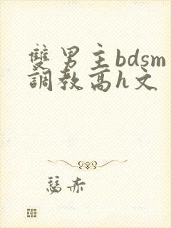 双男主bdsm调教高h文