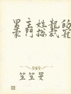 男主姓龙的小说豪门总裁宠文封面