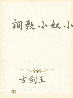 调教小奴小说
