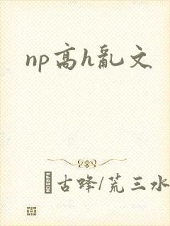 np高h乱文