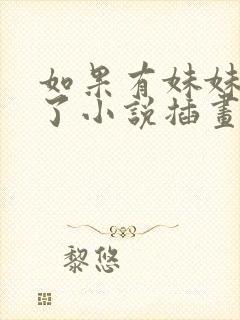 如果有妹妹就好了小说插画