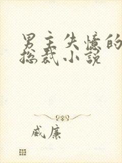 男主失忆的霸道总裁小说封面