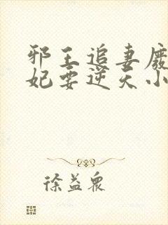 邪王追妻废材狂妃要逆天小说封面