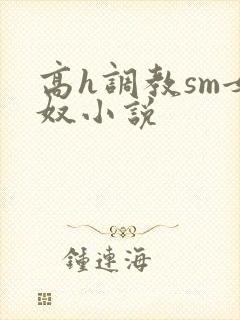 高h调教sm女奴小说