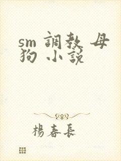 sm 调教 母狗 小说