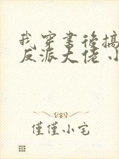 我穿书后搞到了反派大佬 小说