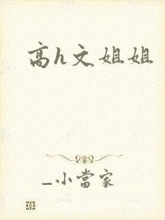 高h文姐姐