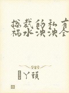 总裁的私有宝贝祸水泱泱全文阅读