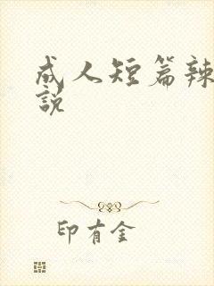 成人短篇辣文小说