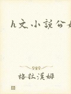 h文小说公媳