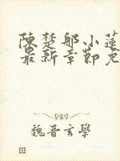 陈楚那小莲小说最新章节免费阅读