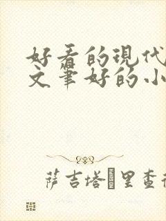 好看的现代言情文笔好的小说