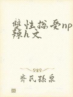 双性总受np高辣h文