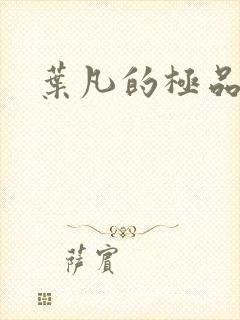 叶凡的极品小姨封面