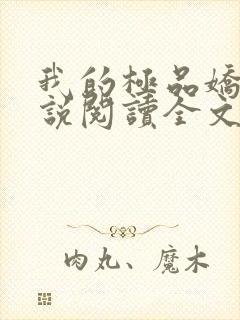 我的极品娇妻小说阅读全文