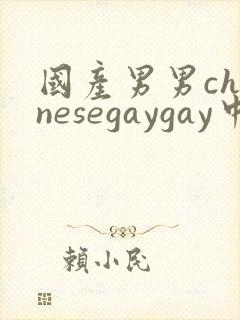 国产男男chinesegaygay中国帅哥网站