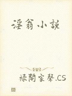 淫翁小说
