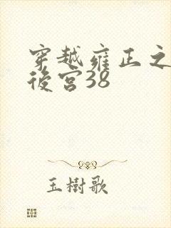 穿越雍正之极品后宫38封面