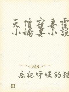 天价宠妻霍总的小娇妻小说免费观看