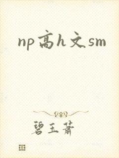 np高h文sm