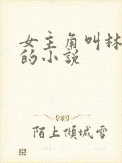 女主角叫林清妍的小说封面