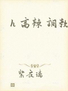 h 高辣 调教封面