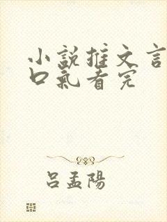 小说推文言情一口气看完