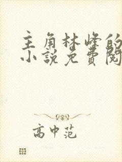 主角林峰的官场小说免费阅读无弹窗