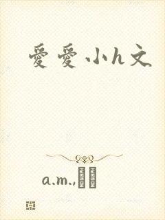 爱爱小h文