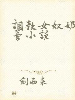 调教女奴奶头阴蒂小说